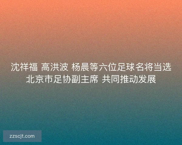 沈祥福 高洪波 杨晨等六位足球名将当选北京市足协副主席 共同推动发展