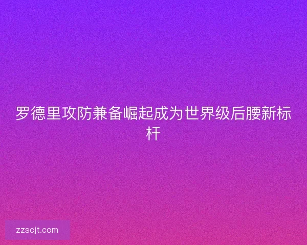 罗德里攻防兼备崛起成为世界级后腰新标杆