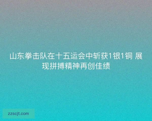 山东拳击队在十五运会中斩获1银1铜 展现拼搏精神再创佳绩
